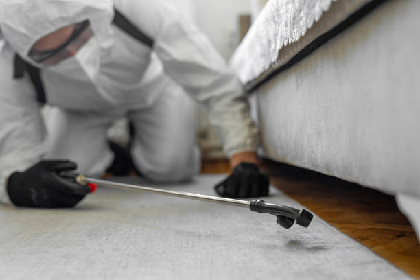 Professional Fumigation Services technician working in Dansville, NY