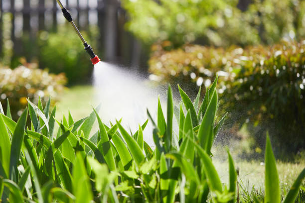 24/7 Emergency Fumigation Services experts in Dansville, NY