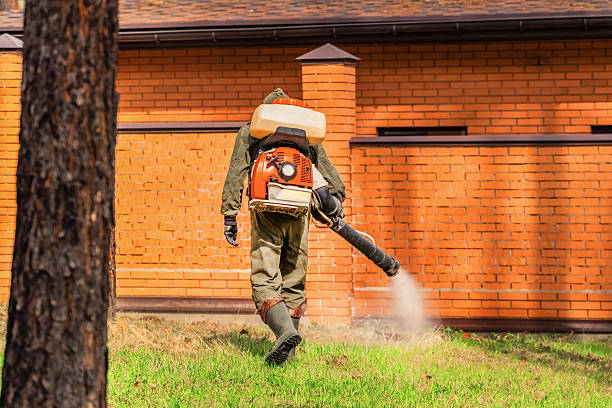 Trusted Bed Bug Control service in Dansville, NY - Nex Pest Control